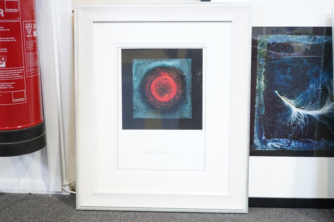 Paul Kenny (b.1951), three abstract photographic prints to include: Study of a feather and one limited edition 1/30, largest 38 x 36cm